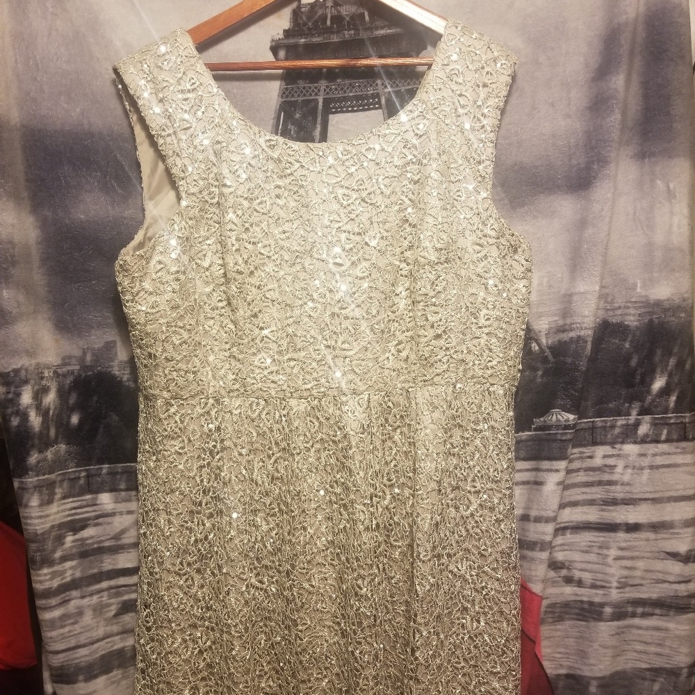 Beautiful Silver After 5 Dress